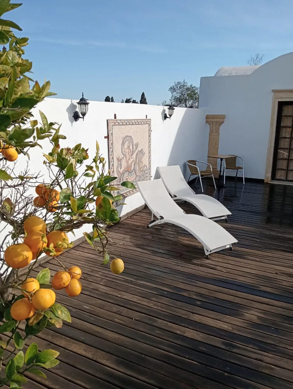 Shaded garden terrace among the orchards at the retreat property near Nabeul